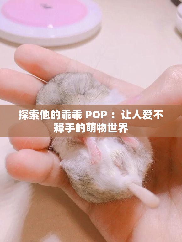 探索他的乖乖 POP ：让人爱不释手的萌物世界