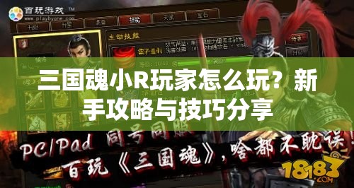 三国魂小R玩家怎么玩？新手攻略与技巧分享